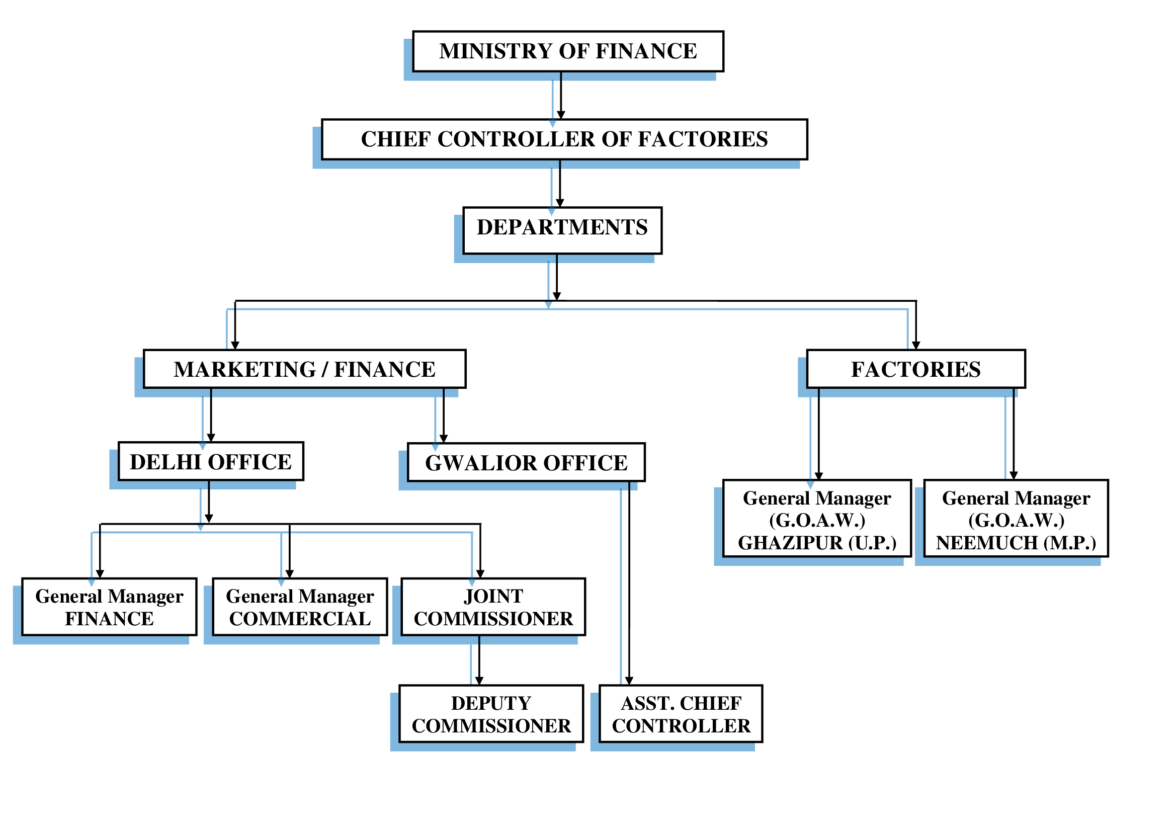 Organization Chart