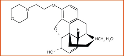 Pholcodine